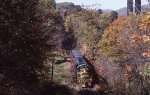 GMRC 401 near Walpole